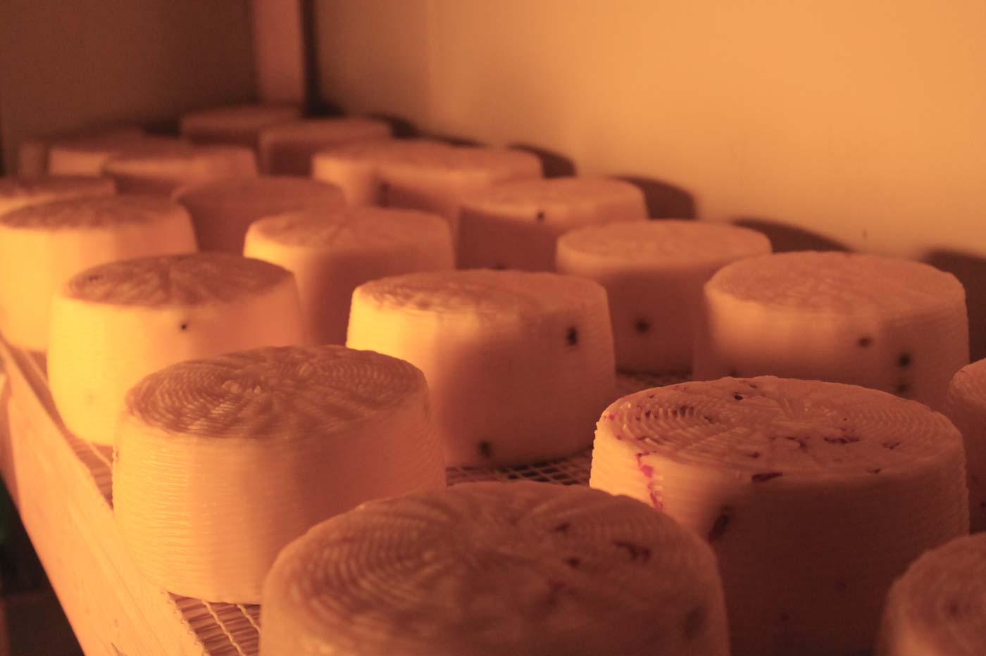 イタリア職人がつくるフォルマッジョ