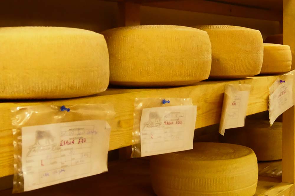 Grana di Ezo by ファットリアビオ北海道