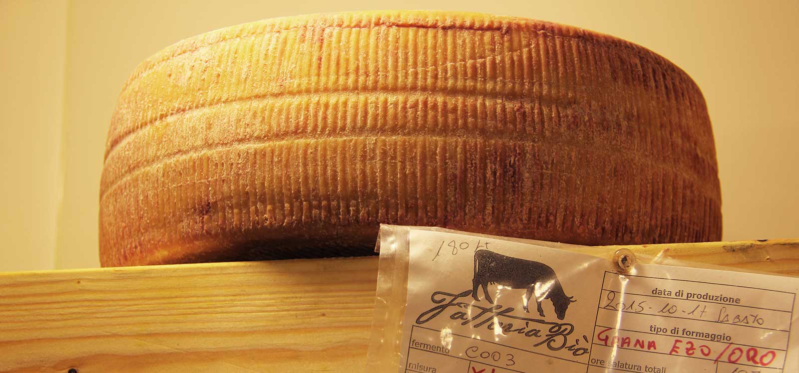 GRANA DI EZO -LIMITED-