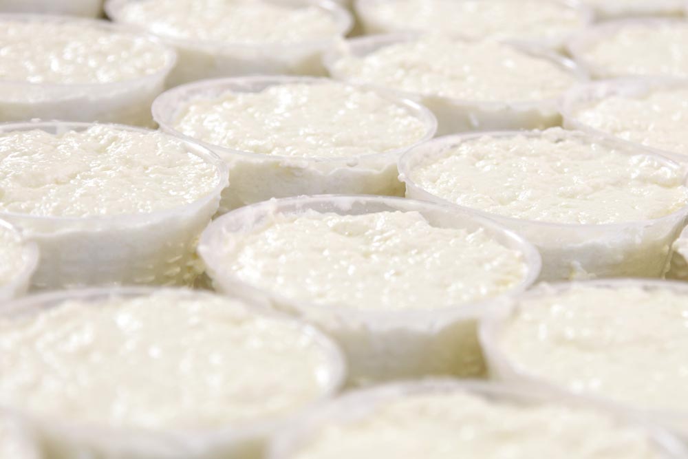 カチョカヴァロステーキ