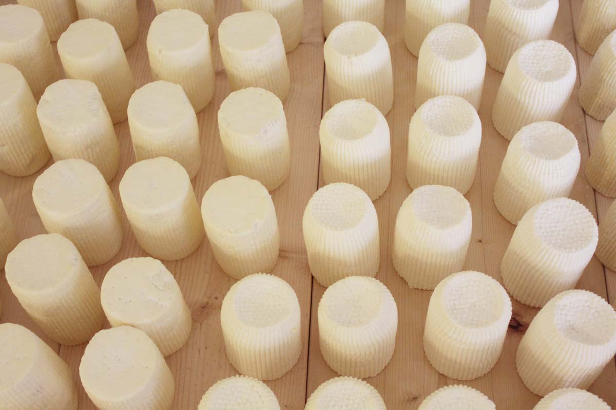 リコッタサラータ