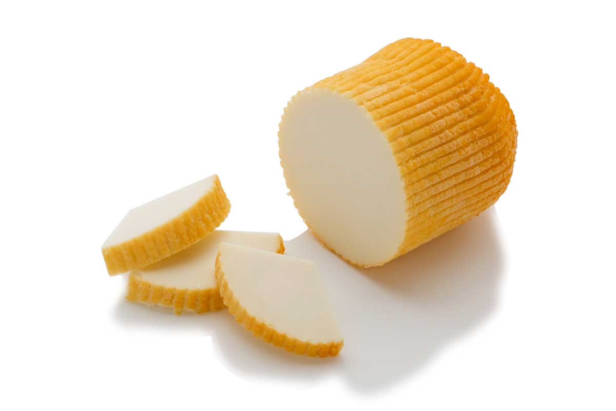 リコッタサラータアフミカータ