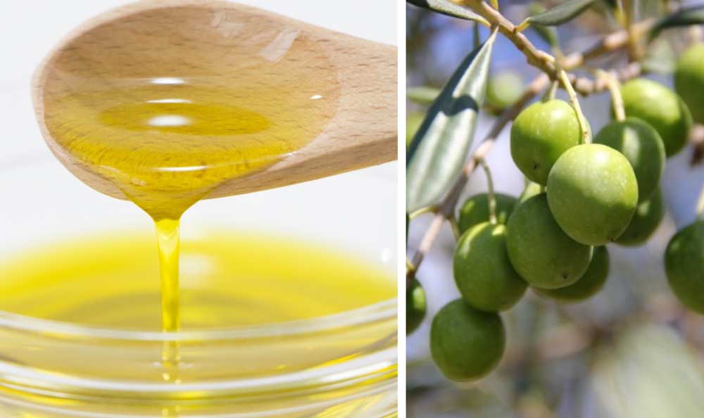 有機EXVオリーブオイル